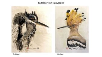 10 Fågelporträtt i akvarell I 10