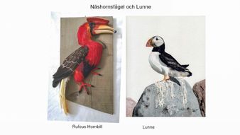 54 Näshornsfågel och Lunne 54